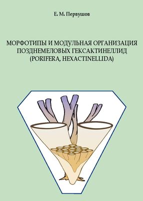 Морфотипы и модульная организация позднемеловых гексактинеллид Морфотипы и модульная организация позднемеловых гексактинеллид