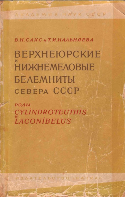 Верхнеюрские и нижнемеловые белемниты севера СССР. Верхнеюрские и нижнемеловые белемниты севера СССР.