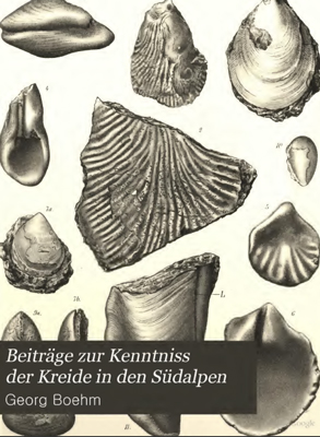 Beitrage zur Kenntniss der Kreide in den Sudalpen. Beitrage zur Kenntniss der Kreide in den Sudalpen.