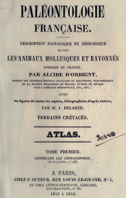 Orbigny A. Paleontologie francaise. Orbigny A. Paleontologie francaise.