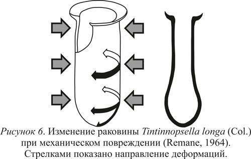 Рисунок 6 Рисунок 6