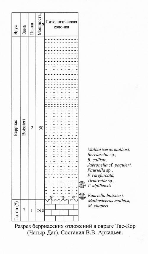 Рис. 1. Разрез берриасских отложений в овраге Тас-Кор (Чатыр-Даг).